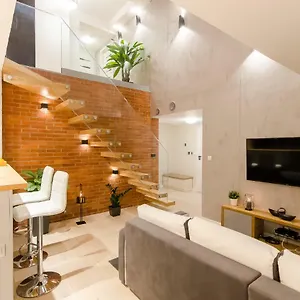 Penthouse With Terrace Apartment
